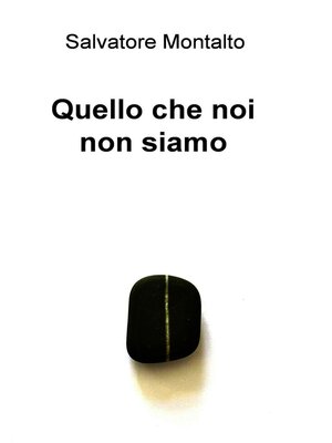 cover image of Quello che noi non siamo